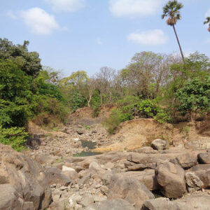 Walking Along the Mithi River: Exploring a 17 KM Long Trained River and Its Riverine Ecosystem