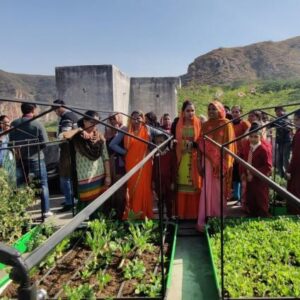Unpacking Nature-based Solutions for Building Climate Resilience in Semi-arid Cities: Learnings From Jaipur