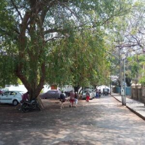 How Kochi Can Use Geospatial Data To Build Resilience and Beat the Heat