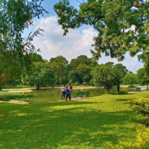 Tackling Climate Risks by Promoting NBS in Indian Cities