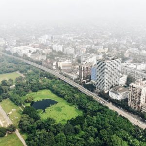 How Businesses Can Drive Urban Biodiversity