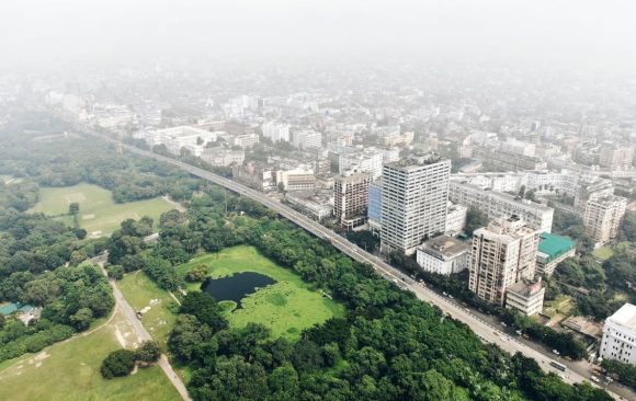 How Businesses Can Drive Urban Biodiversity