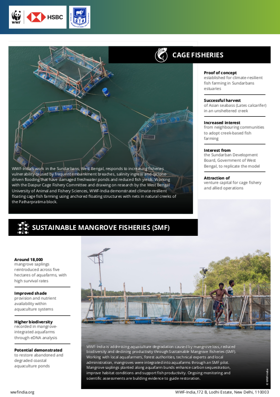 Sustainable Fishing Practice