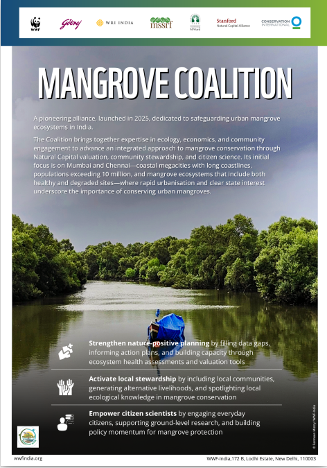 Mangrove Coalition 